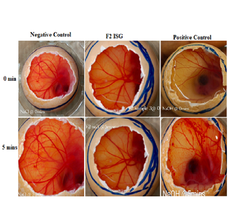 HETCAM test showing the CAM (chorioallantoic membrane) surface of fertilized eggs at 0 min and 5 mins after contact with 0.9% NaCl (negative control), ISG F2 (optimized ISG) and 0.1M NaOH (positive control)